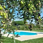 Σπίτι διακοπών A Casa Do Soito Oliveira do Hospital