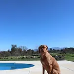 A Casa Do Soito * 올리베이라두오스피탈