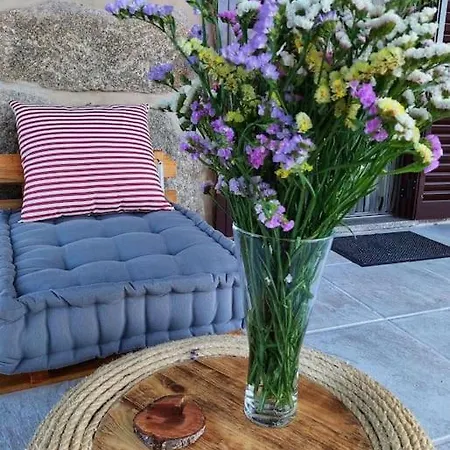 A Casa Do Soito Ferienhaus Oliveira do Hospital