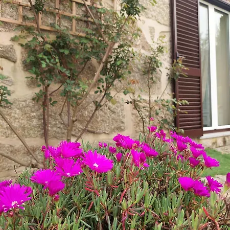 別荘 A Casa Do Soito オリヴェイラ・ド・オスピタル