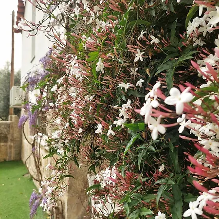Сasa de vacaciones A Casa Do Soito *