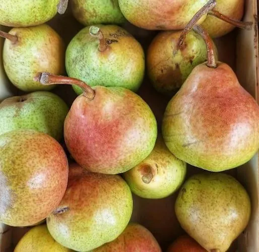 Ferienhaus A Casa Do Soito