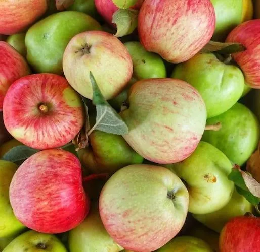 Ferienhaus A Casa Do Soito Oliveira do Hospital