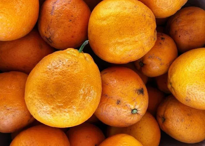 A Casa Do Soito Ferienhaus