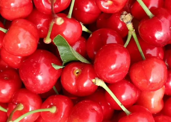 Ferienhaus A Casa Do Soito *