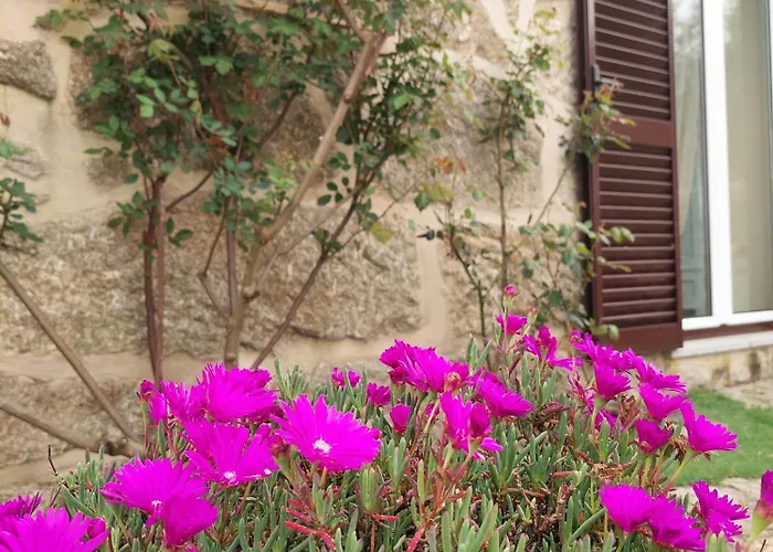 別荘 A Casa Do Soito オリヴェイラ・ド・オスピタル