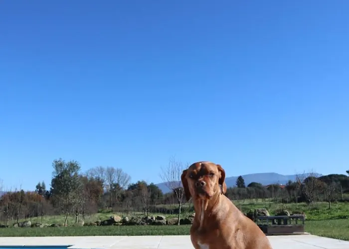 A Casa Do Soito * Oliveira do Hospital